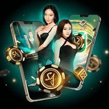 bet669